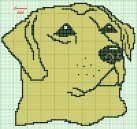 Small picture of Golden Lab graph by Cheryl