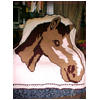 Linda's afghan of Brown White Horse in thumbnail