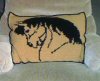 Patti in NM's completed pillow