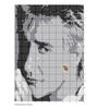 Thumbnail of Trish's Rod Stewart graph